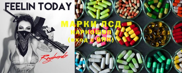 мяу мяу мука Покачи