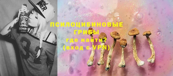 мяу мяу мука Покачи