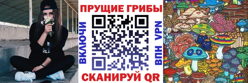 купить закладку  Коряжма  Псилоцибиновые грибы мухоморы 