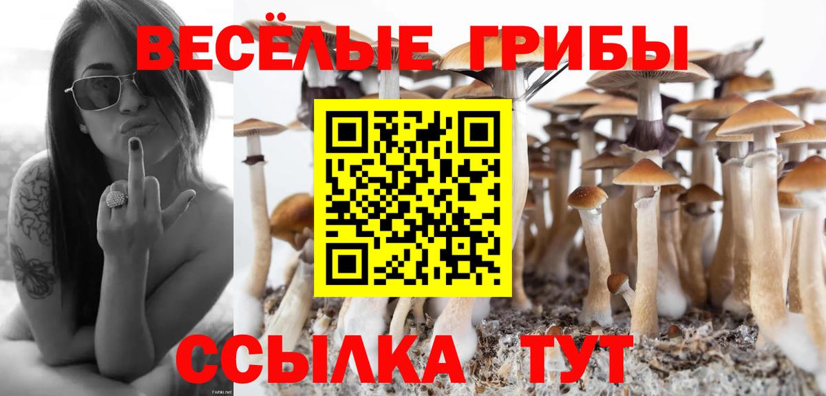 Псилоцибиновые грибы прущие грибы Коряжма