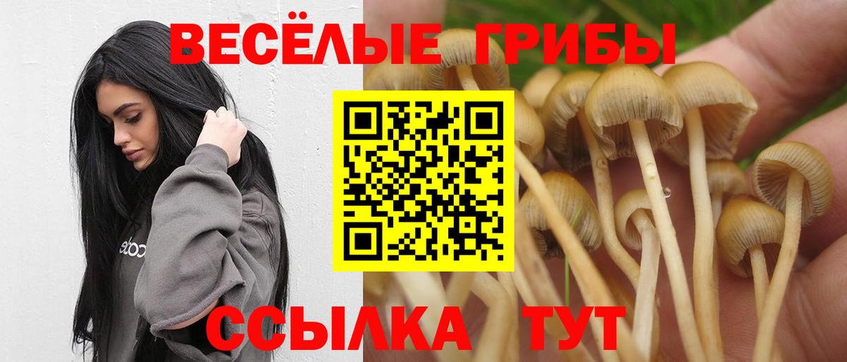 Галлюциногенные грибы GOLDEN TEACHER  Вход с VPN  Псилоцибиновые грибы мицелий  купить наркоту  Коряжма 
