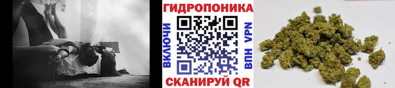 Шишки марихуана THC 21%  mega зеркало  Коряжма 